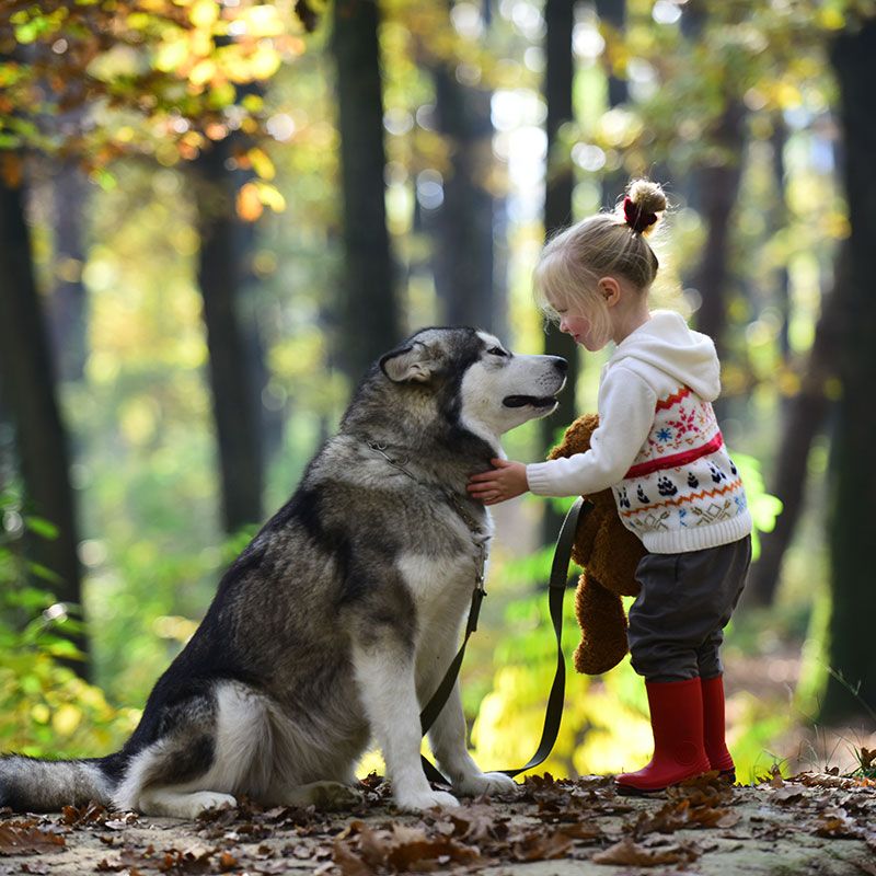 Io & il mio cane